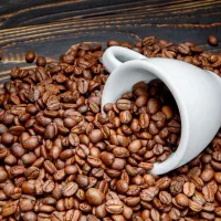 فروش،دان،قهوه ربوستا،عربیک+آ