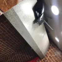 فروش لوازم|کافی‌شاپ و رستوران|محمدشهر, محمدشهر|دیوار