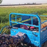 سه چرخ|موتورسیکلت|پاکدشت, پاکدشت (مامازند)|دیوار