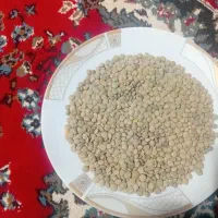 عدس|خوردنی و آشامیدنی|خرمدره, |دیوار
