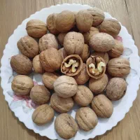 فروش ویژه گردو