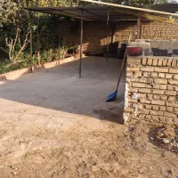 اجاره دامداری ۱۰۰۰ متری|اجارهٔ دفتر صنعتی، کشاورزی، تجاری|جوادآباد, |دیوار