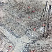 قفس پرنده فقط 300|پرنده|مشهد, توس|دیوار