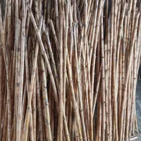 نی هفت بند|سازهای بادی|شیراز, آزادگان|دیوار