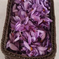 بافت سبدهای شیک وپرطرفدار عمده و تک