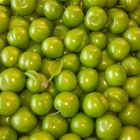 فروش گوجه سبز اعلاءودرشت ودرجه ۱ کیلویی۱۵۰۰۰۰ت