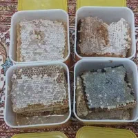 عسل طبیعی سرعین|خوردنی و آشامیدنی|اندیشه, شهرک مریم|دیوار