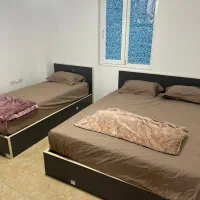 تخل.زرین|اجارهٔ کوتاه‌مدت ویلا و باغ|قشم, |دیوار