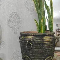 گلدان پتینه همراه با خاک و گل