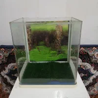آکواریوم همراه با لوازم