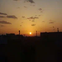 بالاترین پیشنهاد