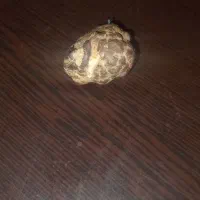 سنگ مشکوک|کلکسیون اشیاء عتیقه|بجنورد, |دیوار