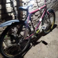 دوچرخه 26|دوچرخه، اسکیت، اسکوتر|اسفراین, |دیوار