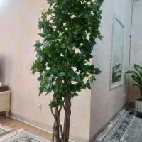 درختچه مصنوعی مینیاتوری با گلدان چوبی نو نو|گل مصنوعی|ری, علایین|دیوار