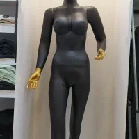 مانکن ایستاده درحدنو
