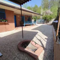 ویلا230متری جنگلی