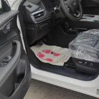 x55pro IE پرو|خودرو سواری و وانت|شیراز, قالیشویی|دیوار