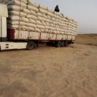 طالب کاه به صورت نقد