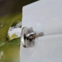 انگشتر فیروز|جواهرات|یزد, |دیوار