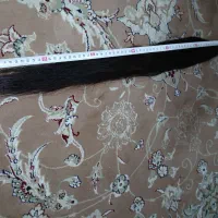 موی کات شده رنگی