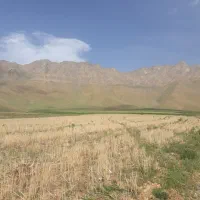 زمین کشاورزی و باغی