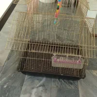 قفس پرنده