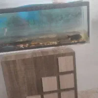 اکواریوم ۲ متری