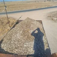 کود حیوانی.گاوی.گوسفندی.مرغی|خدمات باغبانی و درختکاری|تربتحیدریه, بالا ولایت|دیوار