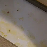 قاب (جعبه) عمق دار|تابلو، نقاشی، عکس|شیراز, ابیوردی|دیوار