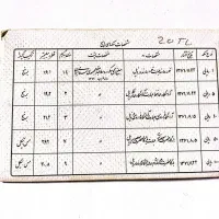 پک سکه جمهوری اسلامی با یک ریال دماوند|کلکسیون سکه، تمبر، اسکناس|تهران, شکوفه (عبدل آباد)|دیوار