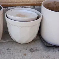 گلدان سفال|گل و گیاه طبیعی|قم, مهدیه|دیوار