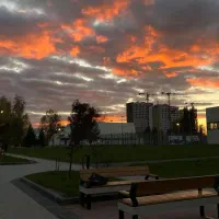 همخونه-هم-خونه