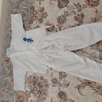 بند انداز برقی