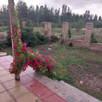 اجاره روزانه/هفتگی/ماهانه ویلا ۸۰ متری