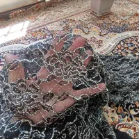 لباس کردی محلی|لباس|کرمانشاه, |دیوار