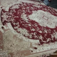 فرش|فرش|شیراز, کفترک|دیوار