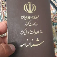 شناسنامه پیدا شده