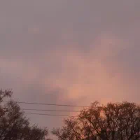 به دنبال پارتنر برای طبیعت گردی