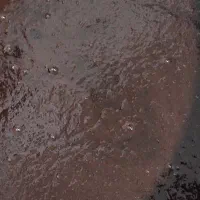 رب انار خوشمزه و تمیز