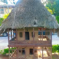 دنبال یه هم خونه هستم