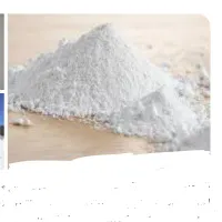 مصالح گچ
