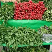 فروش سبزی اماده وارسال به همه جا