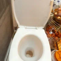 توالت فرنگی پلاستیکی