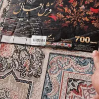 قالی نو