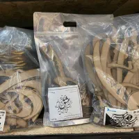 حروف کالیگرافی