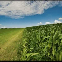 زمین-باغ-شهری