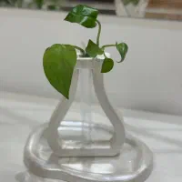 گلجا خاص|مجسمه، تندیس، ماکت|کوچصفهان, |دیوار