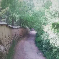 350-متر-باغ-با-چشم-انداز-عالی