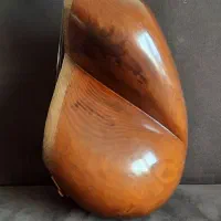 تار قدیمی ۵۰ ساله|سازهای سنتی|تهران, میدان ولیعصر|دیوار