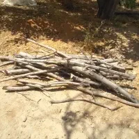 خرید و برش چوب در محل شما